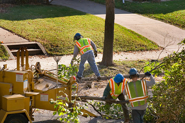 Best Hazardous Tree Removal  in Garden City, SC